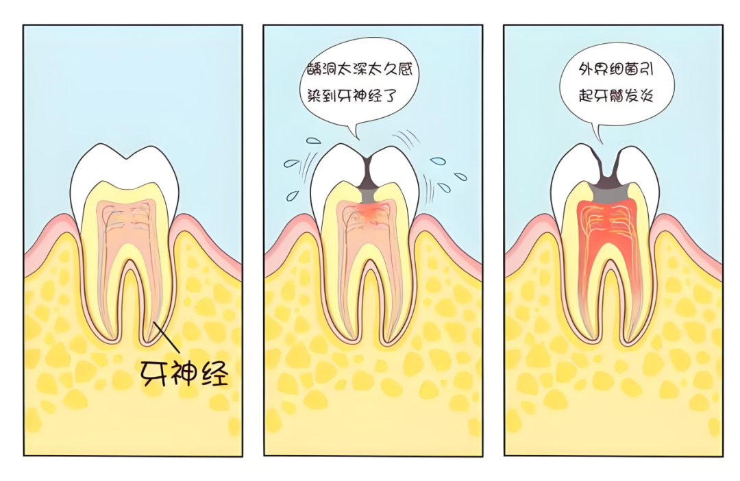 微信圖片_20250329105622.png